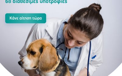 Πρόγραμμα Υποτροφιών για Φοιτητές Κτηνιατρικής MSD-FVE